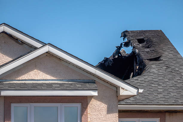 Top rated local Fire Damage Assessment specialists in Lindstrom, MN